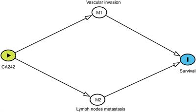 Vascular invasion and lymph node metastasis mediate the effect of CA242 on prognosis in hilar cholangiocarcinoma patients after radical resection